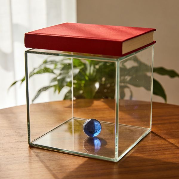 AI image generated by Seedream 4.5, ranked #22 of 22 in the "Geometric Composition" arena challenge — prompt: A glass cube on a wooden table. Inside the cube is a small blue sphere. On top of the cube sits a red book. A green plant is behind the cube, partially visible through the glass. Soft window light from the left.