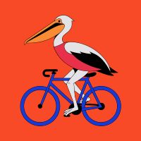 Recraft V4.1 SVG — Prompt Adherence