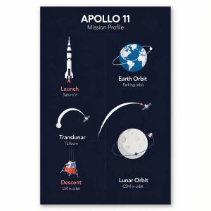 FLUX.2 [flex] — Apollo 11: Journey to Tranquility