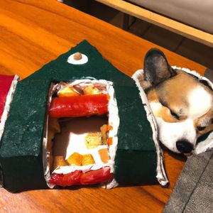 A cute corgi lives in a house made out of sushi.