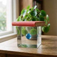 Nano Banana 2 Lite — Prompt Adherence