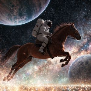 Recraft V4.1 Pro — The Reversed Rodeo
