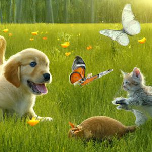 DALL-E 2 — Adorable Baby Animals in Sunny Meadow