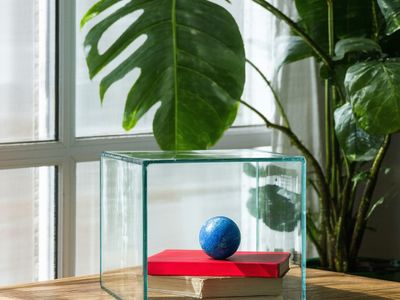 Stable Diffusion 3.5 Large — 3D Imaging & Modeling