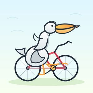 GPT-5.5 — Pelican on a bike 