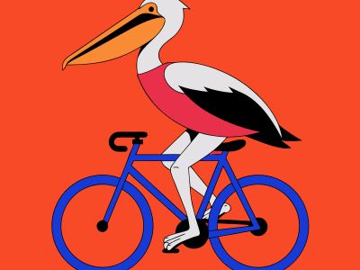 Recraft V4.1 SVG — Simplicity & Compactness