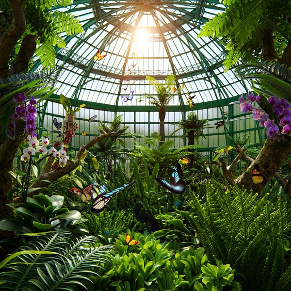 Hyper-photorealistic interior of a lush Victorian glass greenhouse filled with exotic tropical pl...