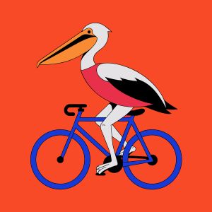 Recraft V4.1 SVG — Pelican on a bike 
