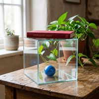 Nano Banana 2 — Aesthetics