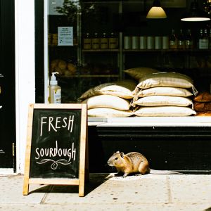 A cozy street-side bakery with a chalkboard sign out fron...